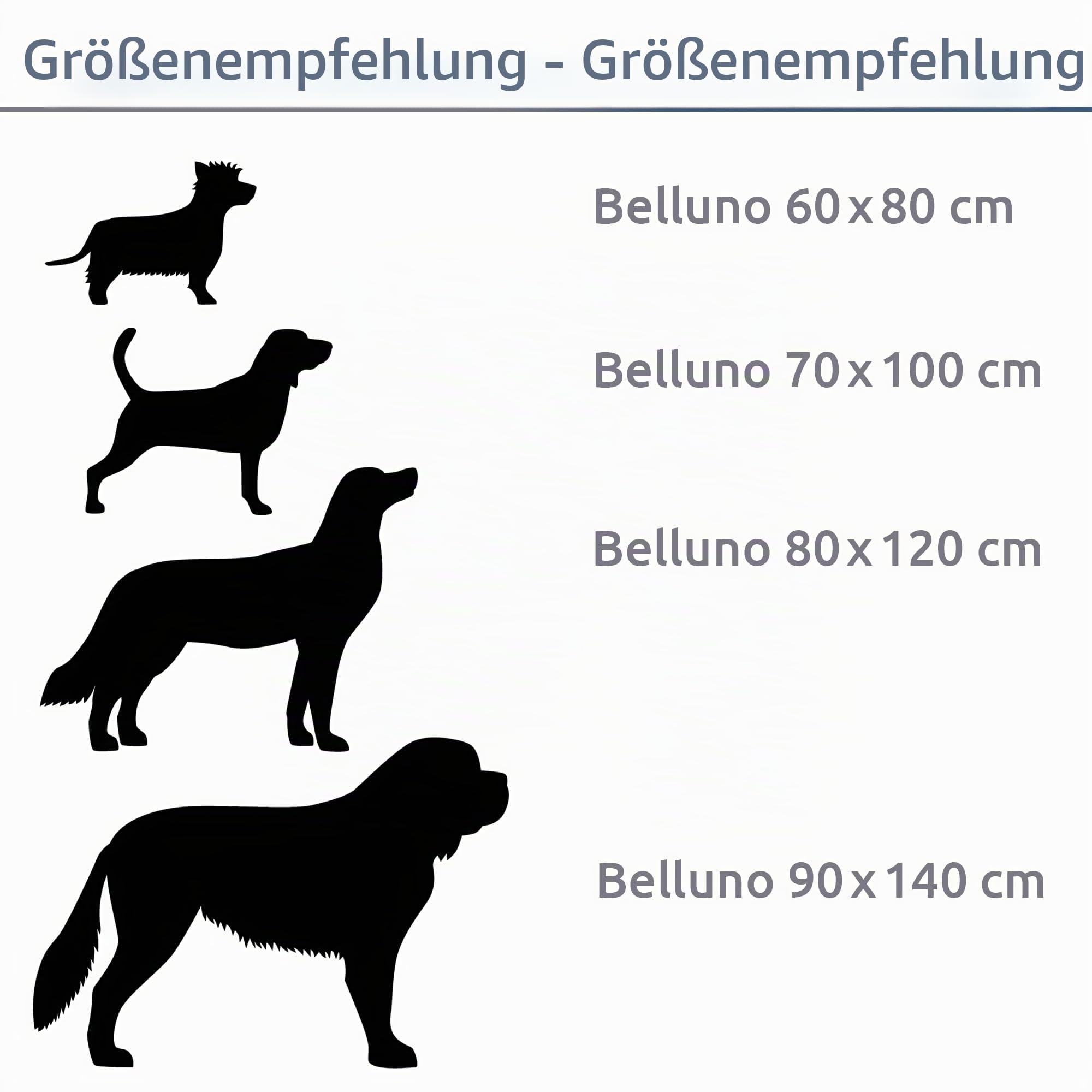 your GEAR Belluno • bequemes Hundebett 80 x 120 cm – Komfortabler Hundekorb für Grosse Hunde, waschbar, Kratzfest, Ergonomisches Hundebett, auch als Katzenbett