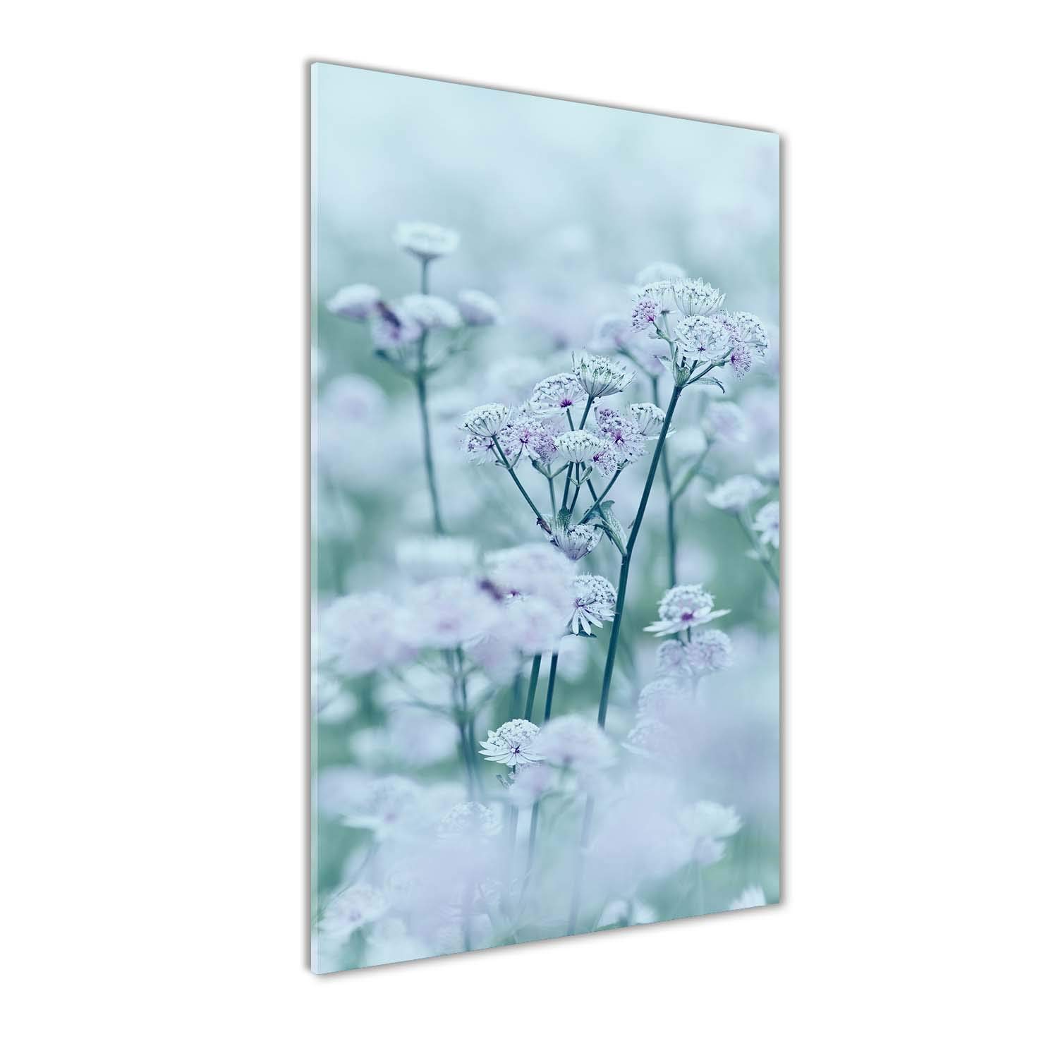 Image sur verre 70x140cm astrantia blanc pour habiller un grand mur vide