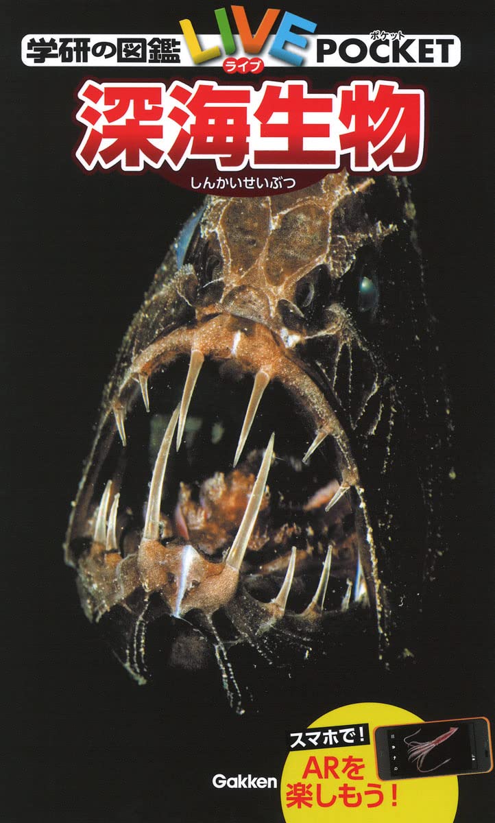 Amazon.co.jp: 深海生物 : 武田正倫: 本