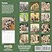 2020 Meerkats Wall Calendar by Bright Day, 16 Month 12 x 12 Inch, Cute Adorable African Wild Animal Outdoor Safari