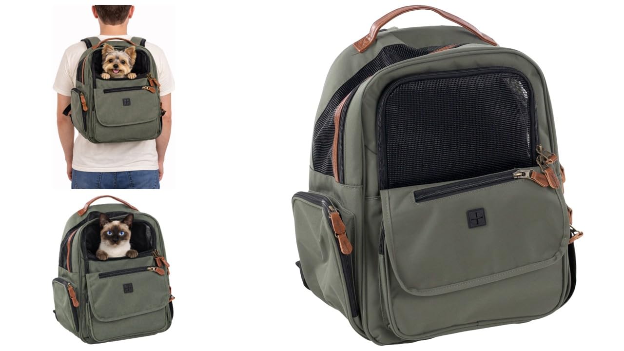 Hunderucksack - Rucksack Wiro Grün – 40x25x41cm – Polyester – verstärkte Rückenwand – Abnehmbarer Boden – Sicherheitsleine – Brustgurt – Autogurt-Schlaufe – Trolley-fix