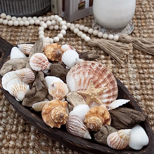 ANDALUCA Seashells, Starfish Driftwood Fragrance Potpourri Vase & Bowl Filler Decor (Coral Beach)