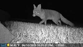 Review Image by Greg D. Greg D.