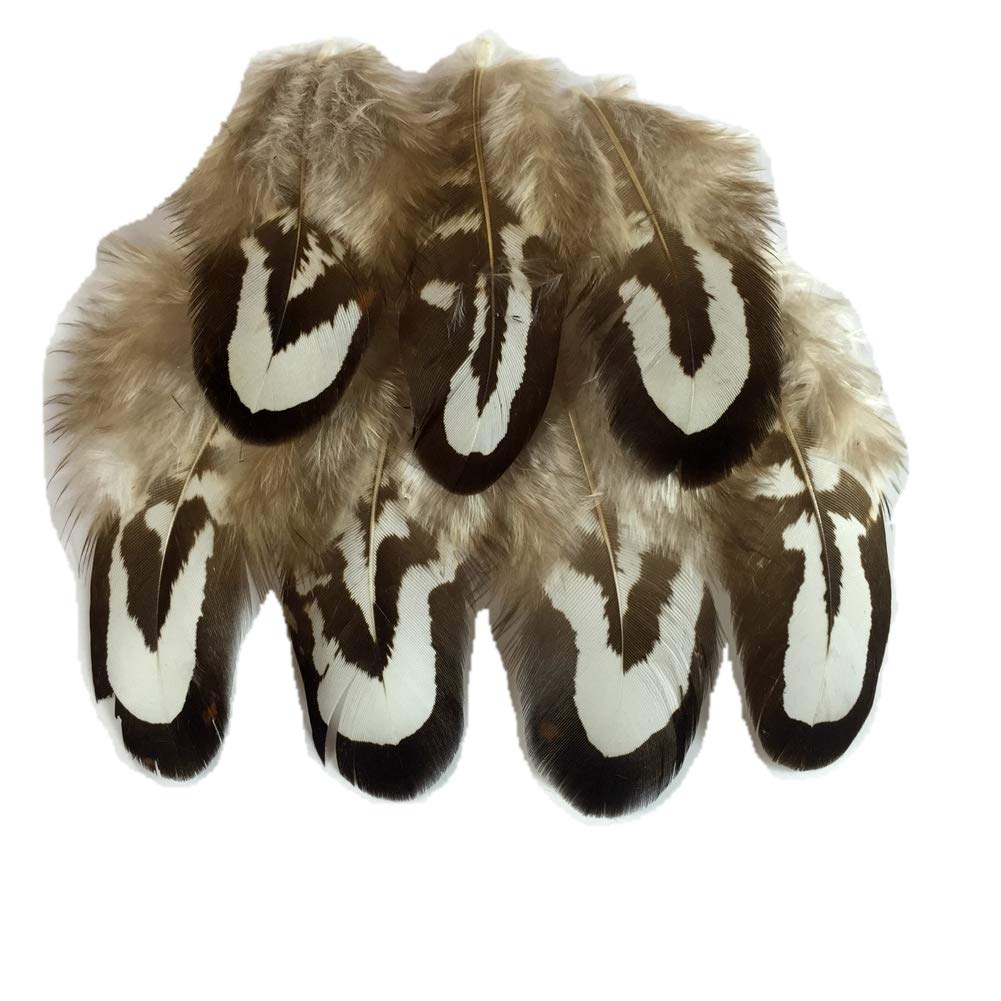 Sowder 50pcs Natural Ringneck Pheasant Plumage Feathers 2-3 Inches Home Wedding Decoration