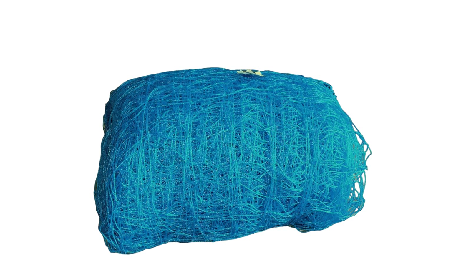 Azure Sports Nylon Nets Regular Practice/Training for Outdoor Sports Size 100x10 Feet Blue