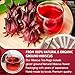 Premium 135 Hibiscus Tea Bags, Pure, Organic, Non-GMO, Made Of 100% Hibiscus Flowers, Loose Flower Hibiscus Herbal Tea, Hibiscus Flower Tea, No Sugar, No Caffeine, No Gluten, No Sugar, Vegan