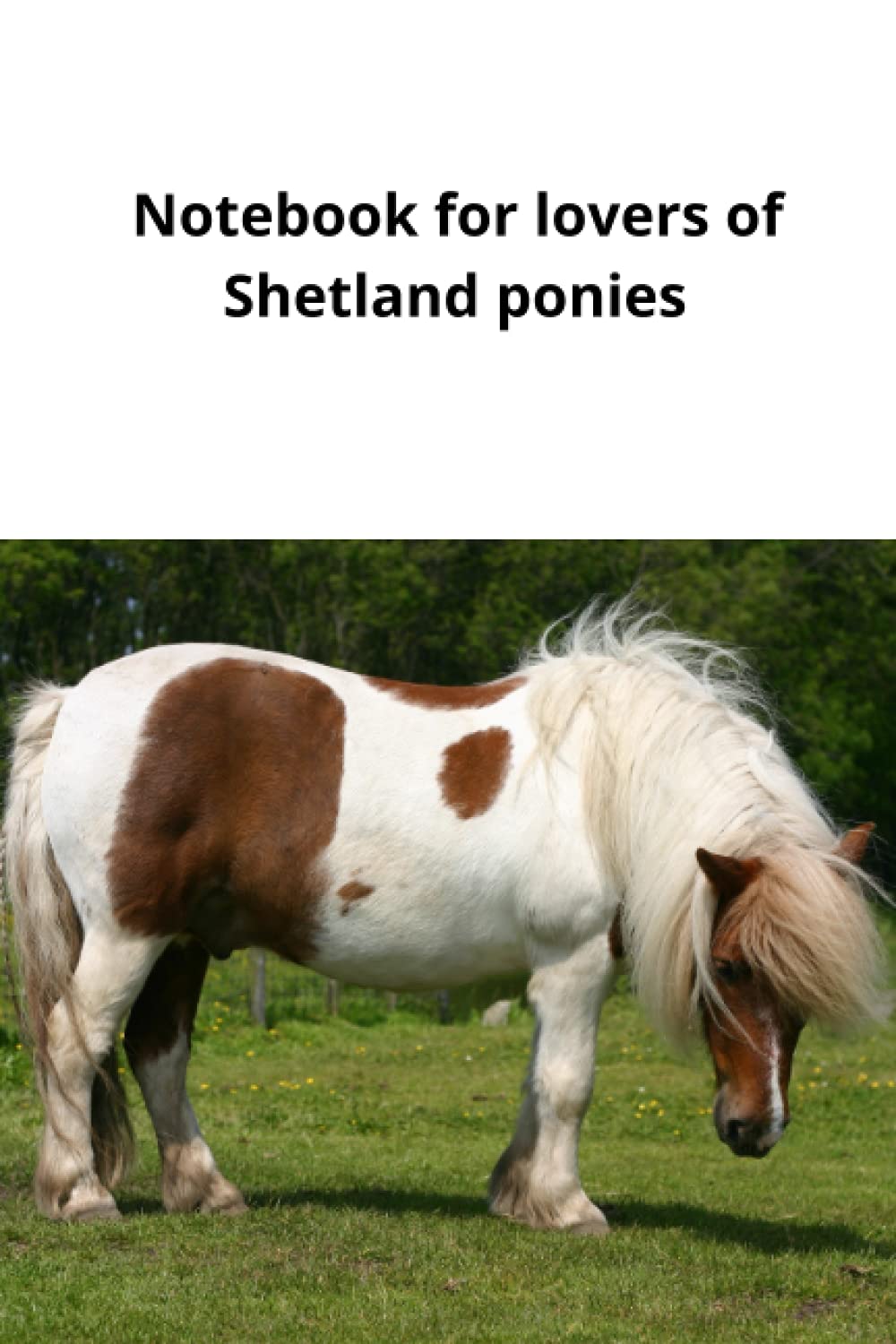 Notebook for lovers of Shetland ponies: Are you a horse lover, what about the ponies? Cute, small, cuddy....then Shetlands are for you. (Notebook for horse lovers.)