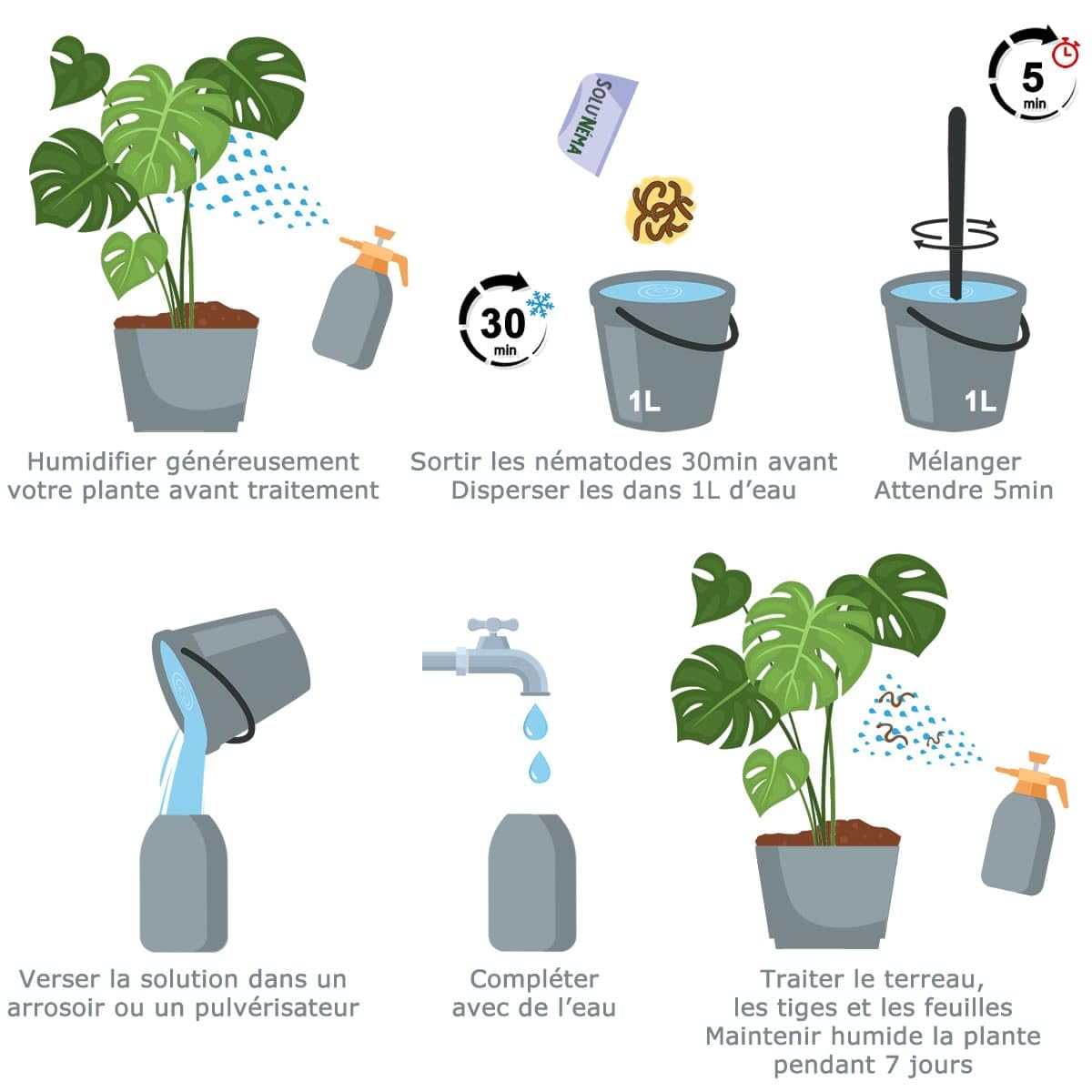 Nématodes SOLUNEMA Contre Les Thrips - 10 Millions - Traitement Biologique Longue Durée Pour Plantes