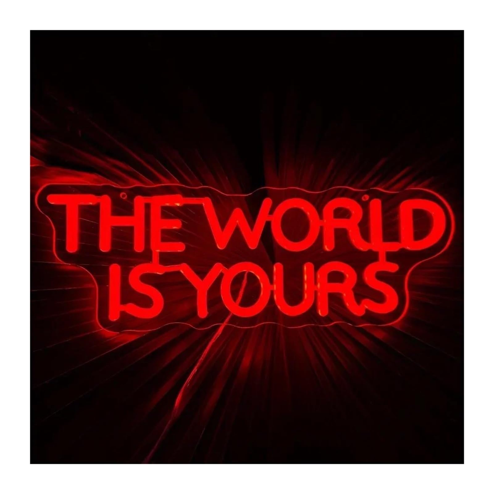 SHOUXI Sign Lamp The World is Yours Neon Sign, Light for Wall Decor, USB Power for Man Cave Home Bar Bistro Club Cafe Game Room 39cmх14cm(A)
