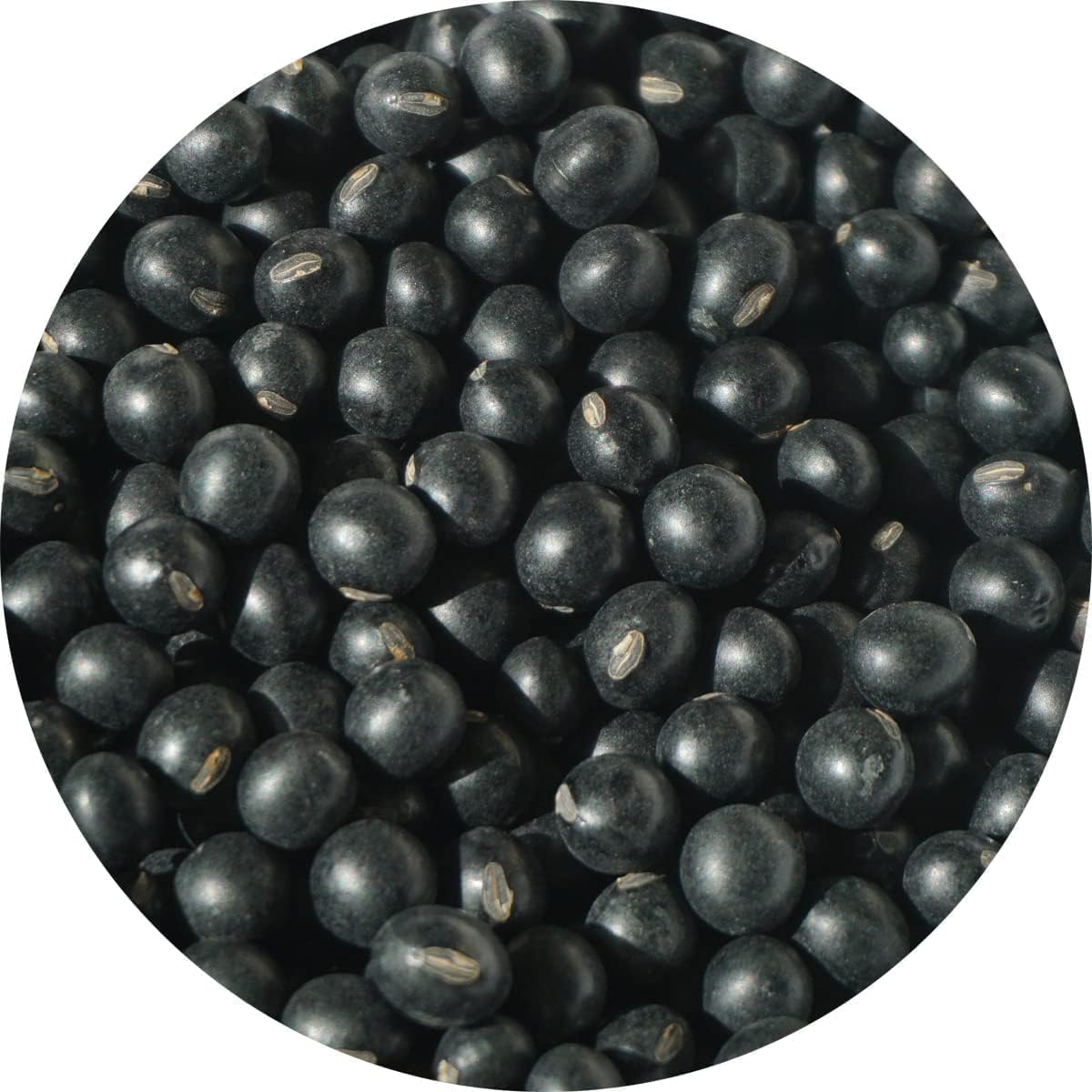 くろまめ Amazon.co.jp: アメ横 大津屋 北海道産 黒千石 黒豆 くろまめ