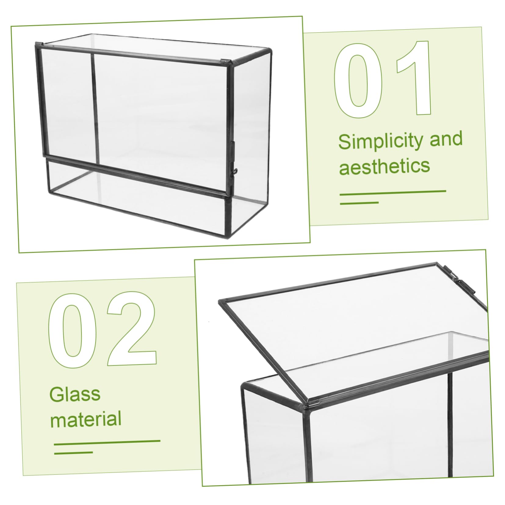 Handgefertigtes Geometrisches Glas Terrarium mit Glatter Oberfläche für Pflanzen und Moos Kleines Terrarium für Wohnzimmer und Tischdekoration