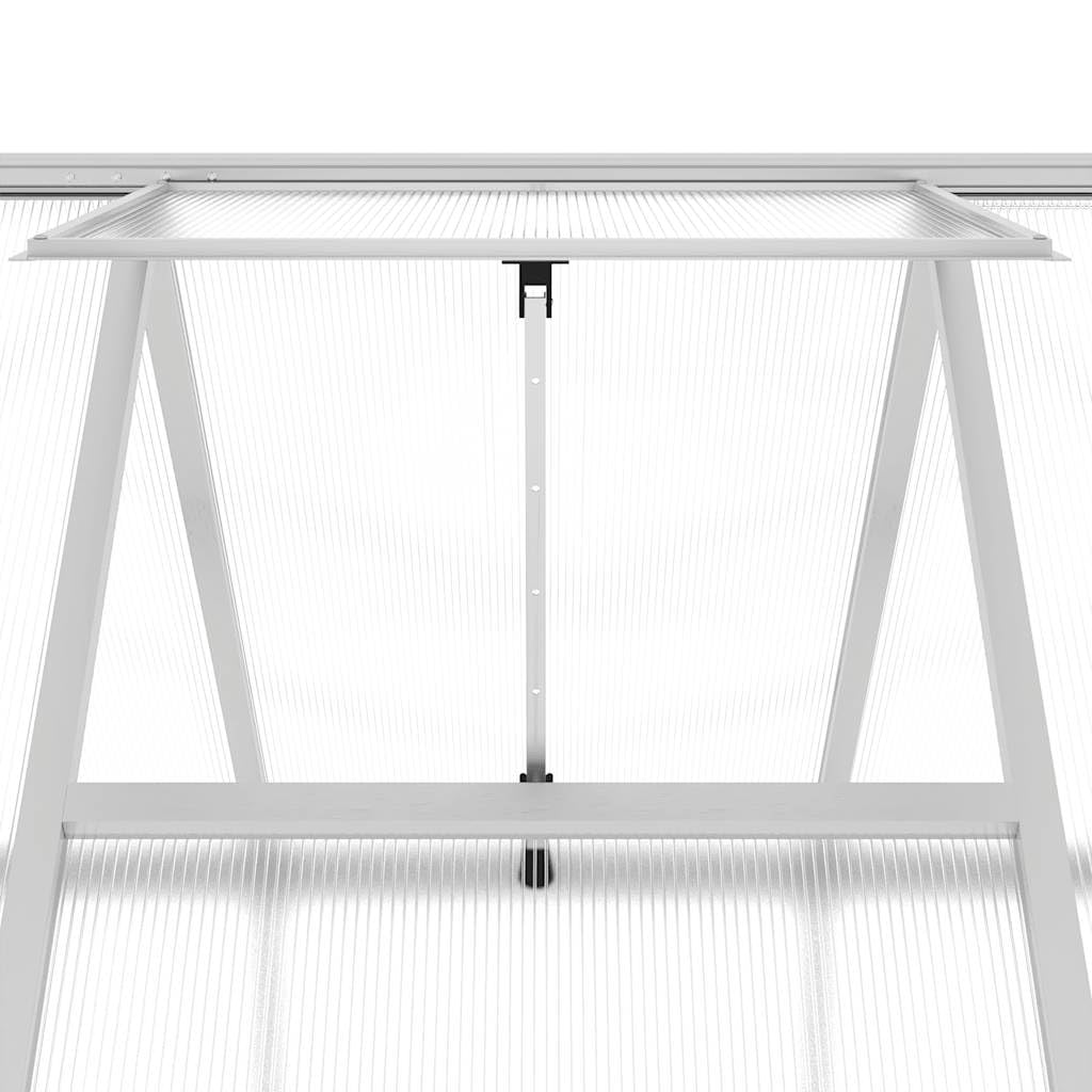Serra con telaio per fondamenta, 334 x 169 x 202 cm, in alluminio e policarbonato, resistente ai raggi UV, per giardinaggio hobby, casa di pomodori, coltivazione di piante, balcone, terrazza