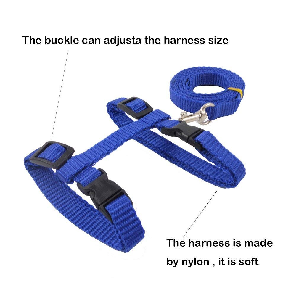 The Pets Company Adjustable Cat Harness Leash Set for Cats & Kittens, Indigo 1