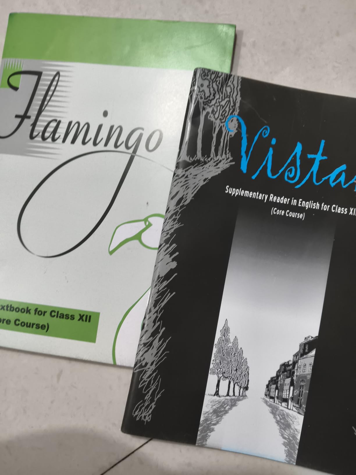 NCERT Textbooks in English for Class 12 - Flamingo and Vistas
