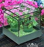 Wardian Display Case