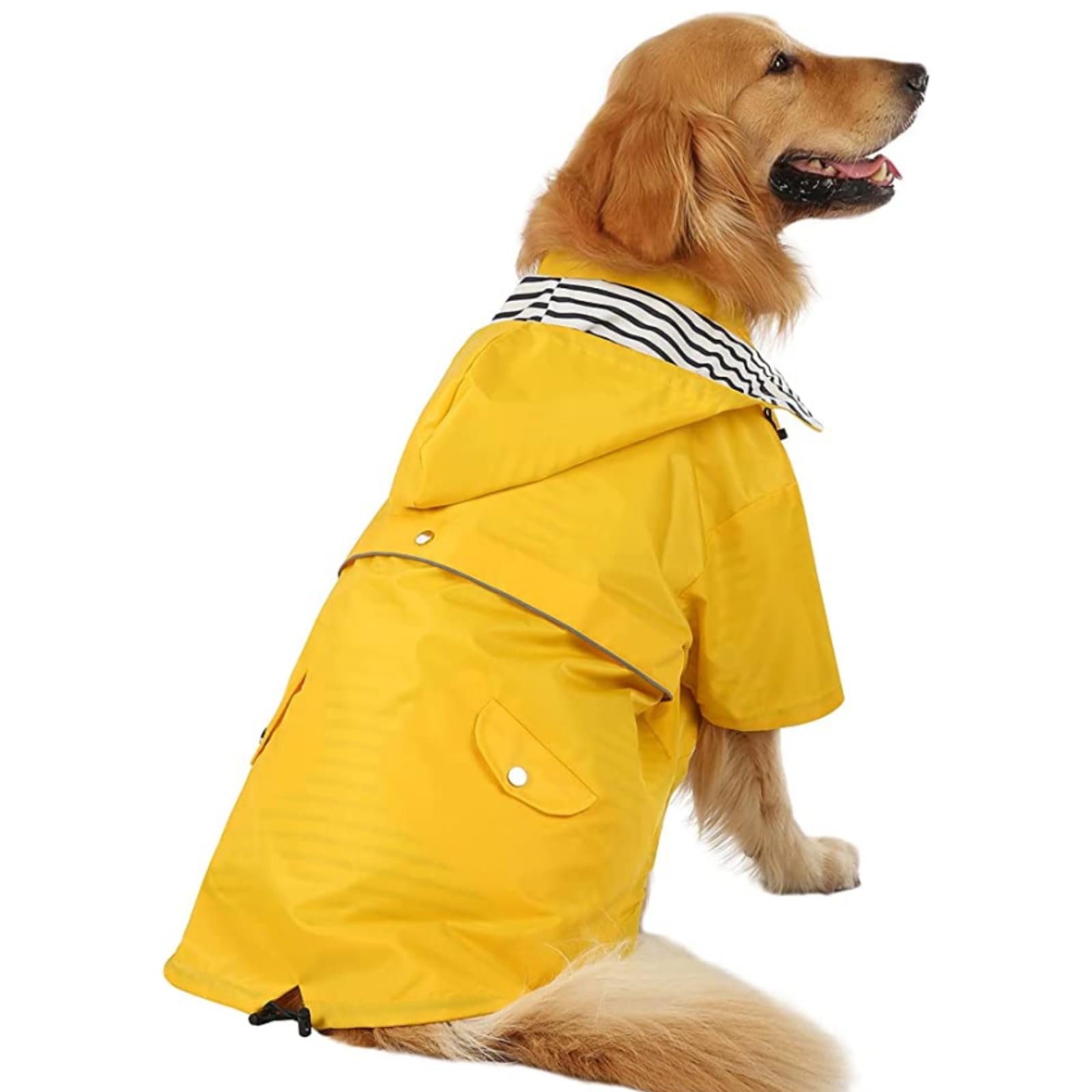 Impermeabile per cani, Impermeabile for cani da compagnia, impermeabile for cani, con cappuccio, regolabile, elegante, con cappuccio rimovibile for cani