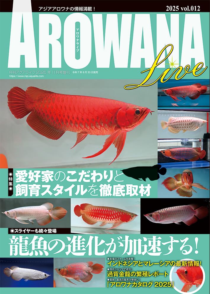 AROWANA LIVE(アロワナライブ) vol.012 [雑誌] | アロワナライブ編集部 