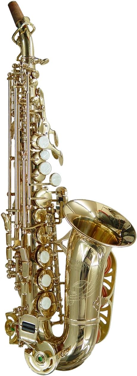 Earlham Complete Curved Soprano Outfit with Case