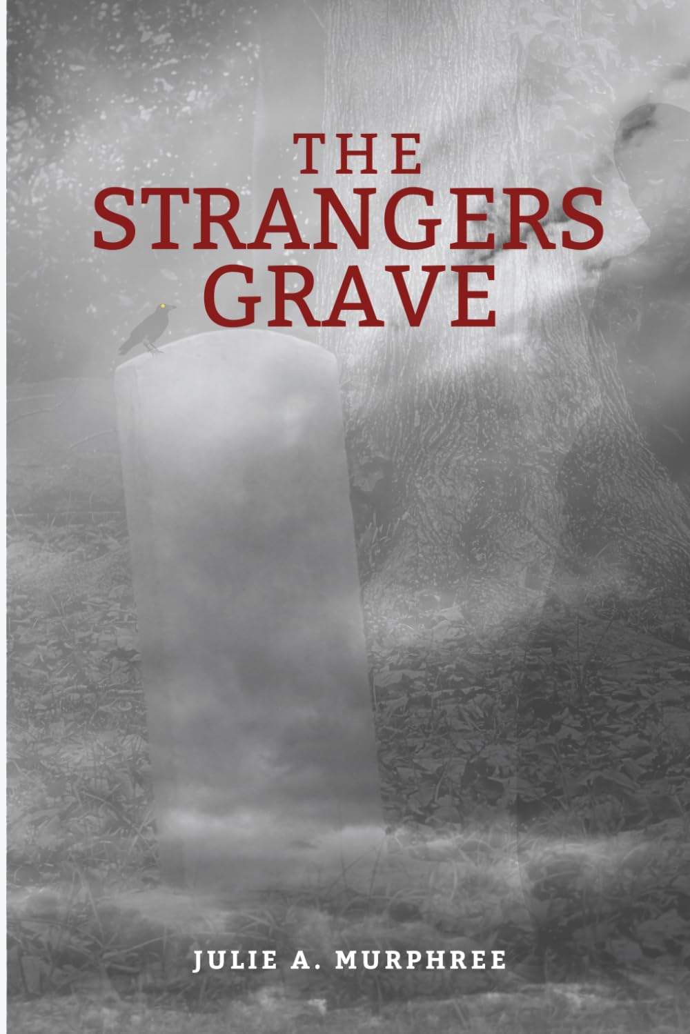 The Strangers Grave (The Strangers Series)