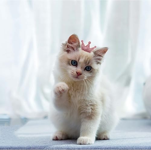 Miniatura 6 de 10 pinzas para el pelo de perro, lazos para el pelo de perros pequeños, lindos accesorios de aseo para el cabello de las niñas, cachorros, pasadores