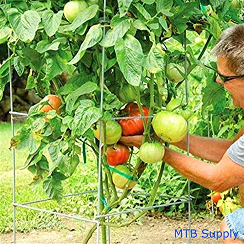 Mtb Galvanized Square Folding Tomato Cage Plant Support Stake Tower 12 Inch By 46 Inch, Pack Of 2 Sets(Also Sold As Pack Of 5 & 10,Pvc Green Is Available) #TOP1