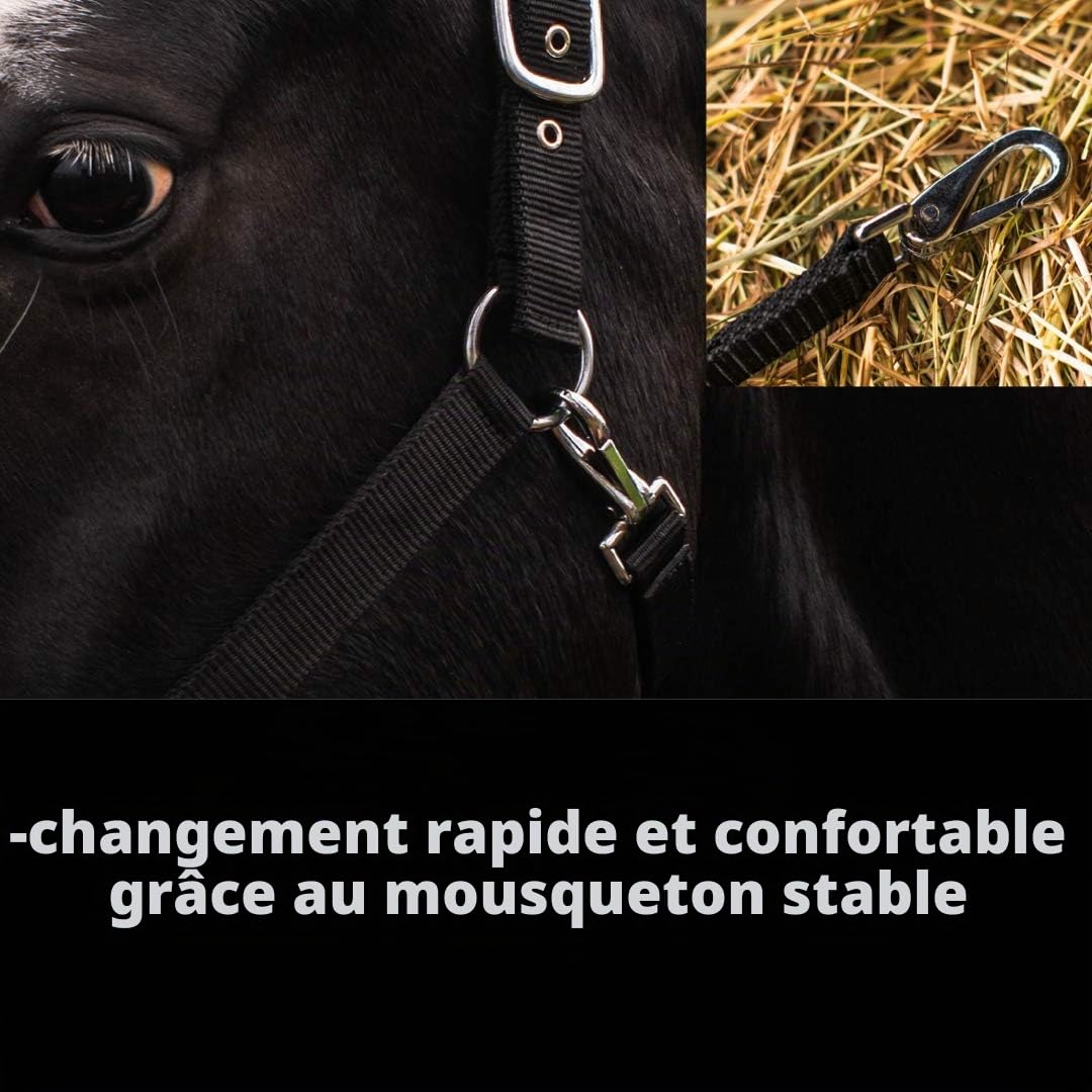 Pferdelinis Licol pour Warmblut, Vollblut, Kaltblut, Pony – Licol d’écurie, licol de pâturage, boucles à ardillon réglables 2 fois, sûr et résistant (Noir, Vollblut (Cob))