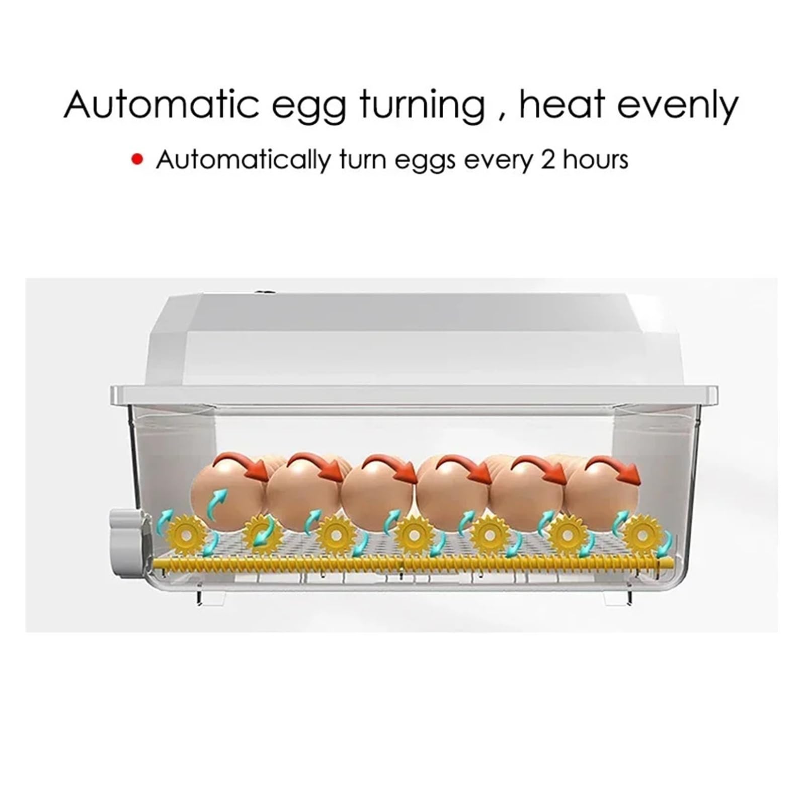Incubadora de 24 huevos eléctrica dual inteligente totalmente automática for pollos, patos, gansos, palomas, granjas avícolas, criadora de aves. Rendimiento alto