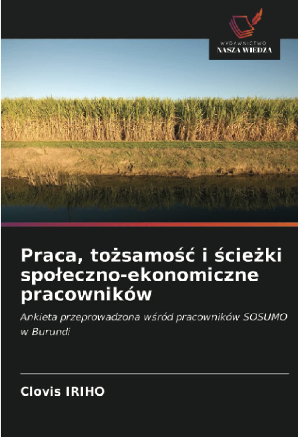 Praca, to¿samo¿¿ i ¿cie¿ki spo¿eczno-ekonomiczne pracowników: Ankieta przeprowadzona w¿ród pracowników SOSUMO w Burundi