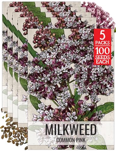 Image of Seed Needs Pink Common Milkweed Seeds for Monarch Butterflies 5 Packs