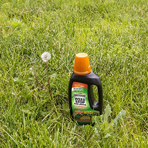 Top 10 Best Weed Killer For Lawns [2024 Reviews & Buying Guide]