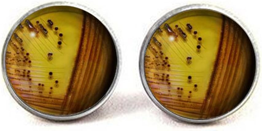Microbiology Bacteria Earrings Bacterial Culture Agar Plate Medicine Science Germs
