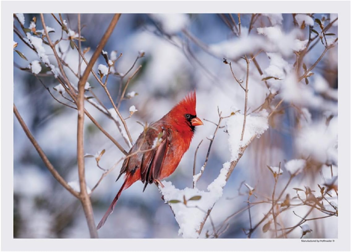 Cardinal in Snow Winter Paper Placemats - 10in. X 14in. (50 Pack)