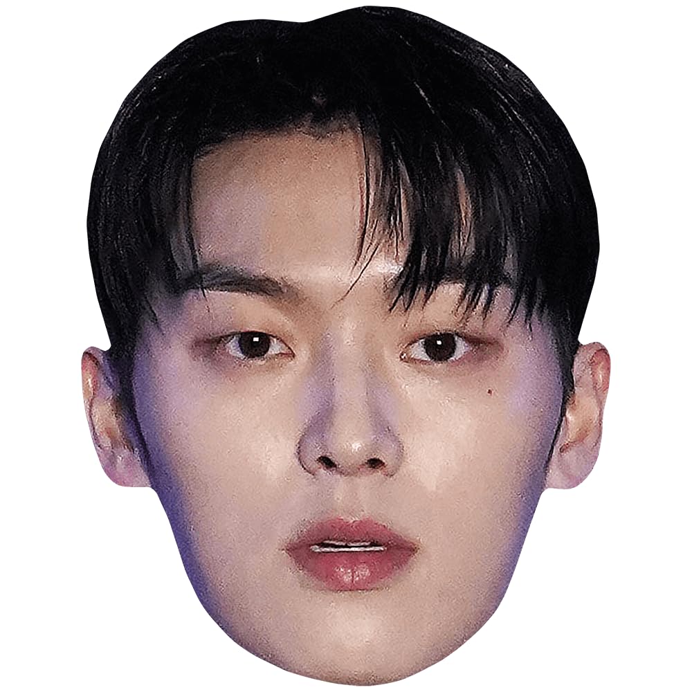 Choi Hyun-Wook (Black Hair) Celebrity Mask, Flat Card Face, Fancy Dress Mask