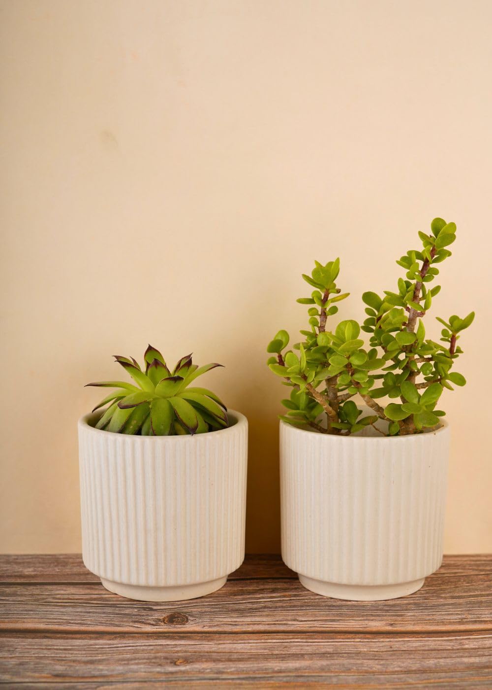 WEAVING HOMES Ribbed White Planter Ceramic Pots Planters for Indoor Plants,Outdoor,Balcony,Home,Garden,Office (B0CZ476C75) Amazon Price History, Amazon Price Tracker