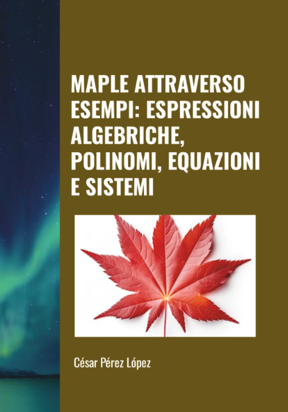 MAPLE ATTRAVERSO ESEMPI: ESPRESSIONI ALGEBRICHE, POLINOMI, EQUAZIONI E SISTEMI