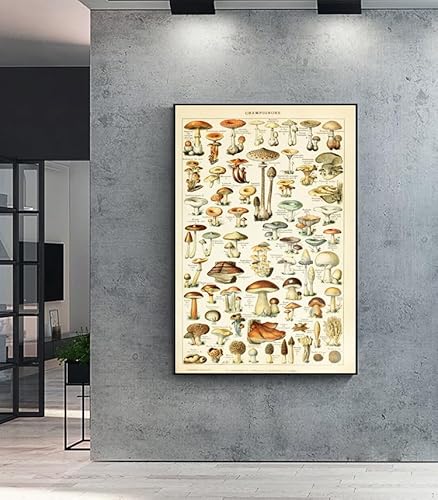 OKRA Vintage Mushroom Poster - Nature Canvas Wall Art - Champignons Identification Reference Chart - Botanical Print Rustic Home Decor for Farmhouse Kindergarten Unframed(16×24in/40×60cm)… - Image 2