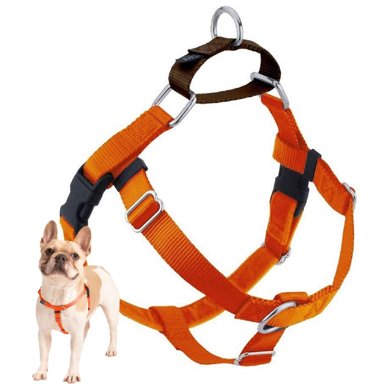 2 Hounds Design Freedom No Pull Dog Harness, Adjustable Harness, Easy Walking & Comfortable Control, Fits Small, Medium & Large Dogs, Solid Colors, Made in USA, 1" XXL, Rust
