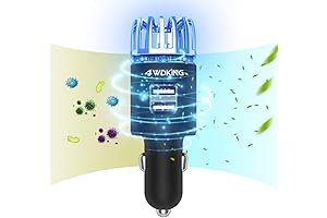 4WDKING Car Air Purifier Ionizer: Your Car's Air Quality Guardian