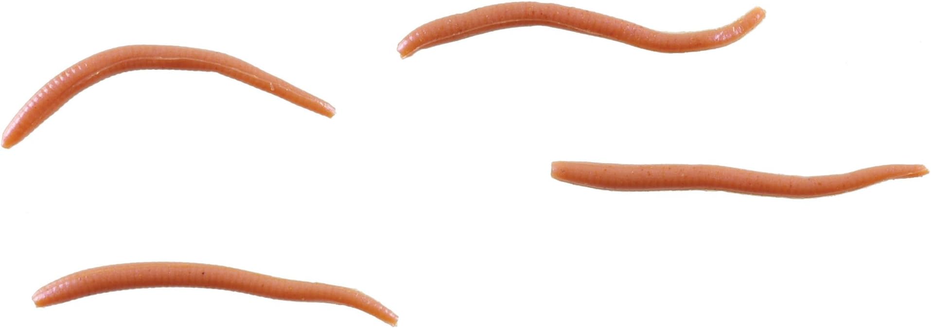 Gulp! Alive! Angle Worm, Natural, Jar, 1 inch