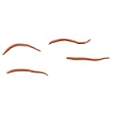 Berkley Gulp! Alive! Angle Worm, Natural, Jar, 1 inch