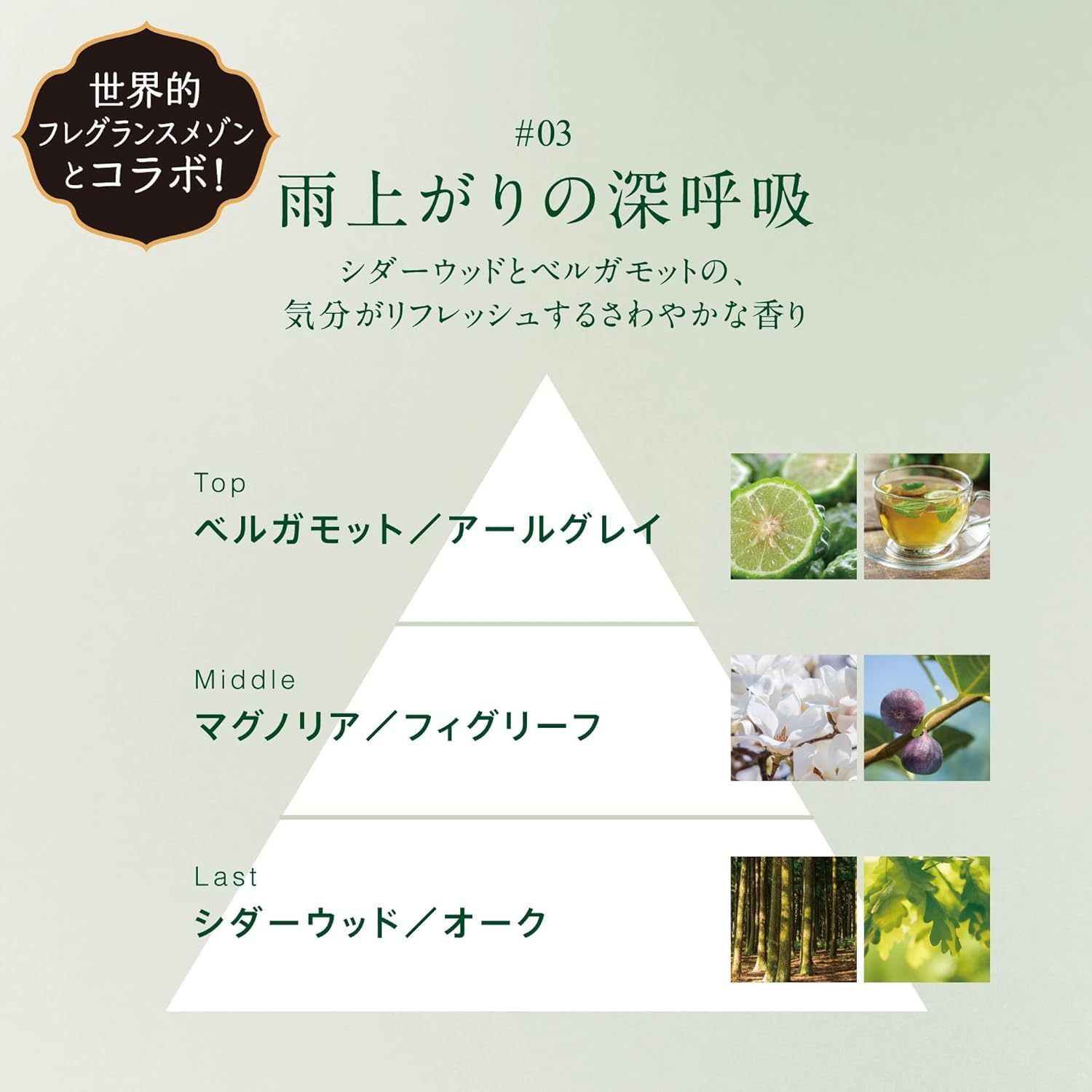 Amazon | レノア オードリュクス 柔軟剤 シダーウッド&ベルガモット