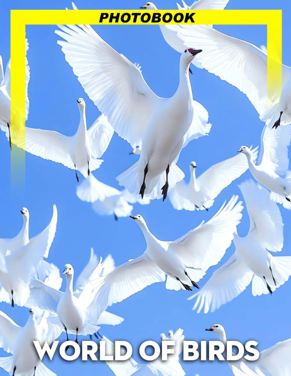 World of Birds Photo Book: Stunning Avian Photography Showcasing Diverse Feathers And Intriguing Behaviors From Around The Globe For Nature Enthusiasts
