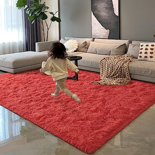 HOMORE Luxury Fluffy Area Rug Modern Shag Rugs for Bedroom Living Room, Super Soft and Comfy Carpet, Cute Carpets for Kids Nursery Girls Home, 4x6 Feet Coral