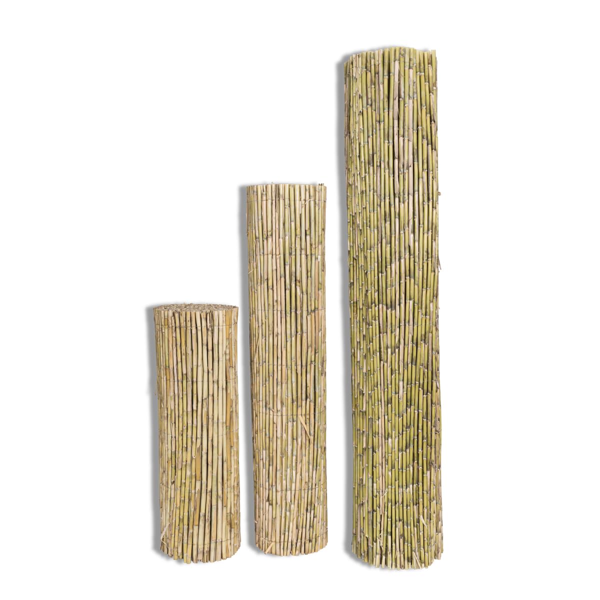 Valla natural de cañas Alpe 2 x 5 m, cañas enteras para vallado y decoración, protección visual y de privacidad para balcón, patio y jardín