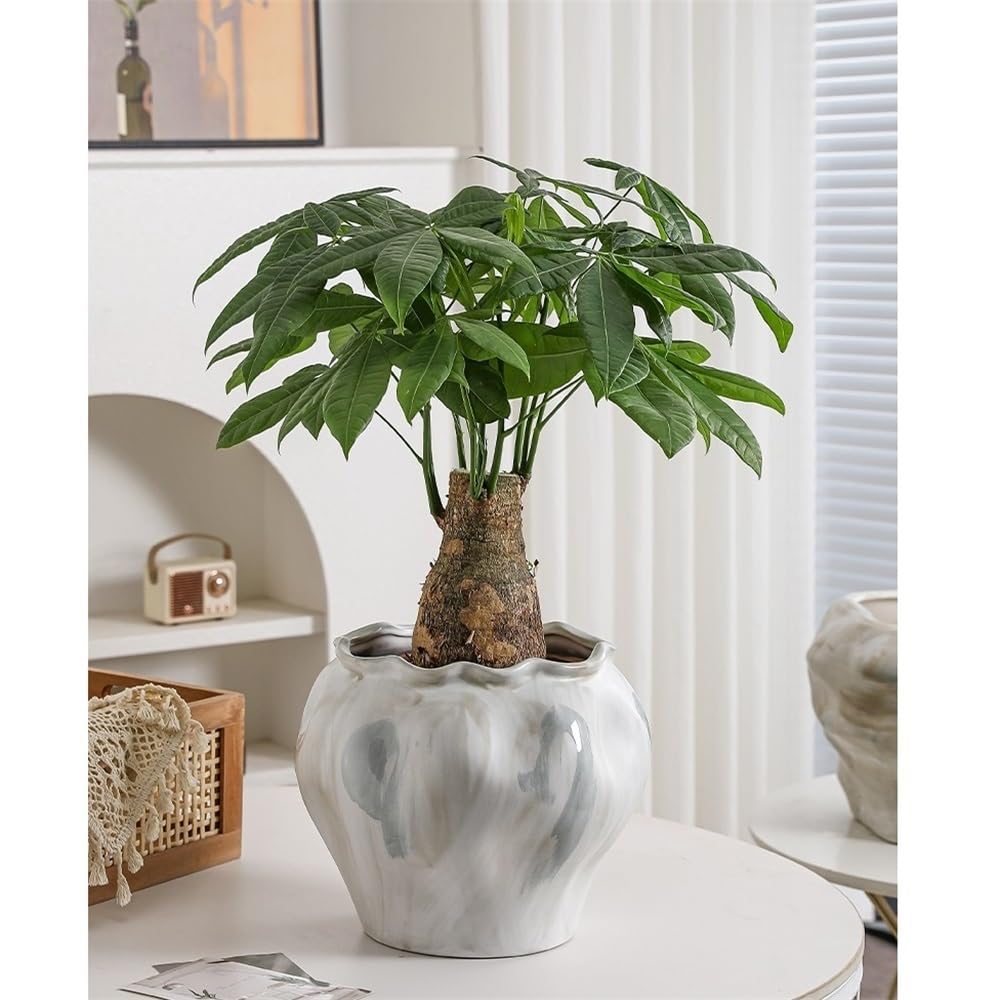 Doniczka ogrodnicza Ceramiczna doniczka 27 cm z otworem drenażowym, donica na rośliny do użytku zewnętrznego i wewnętrznego, nowoczesna dekoracja wnętrz