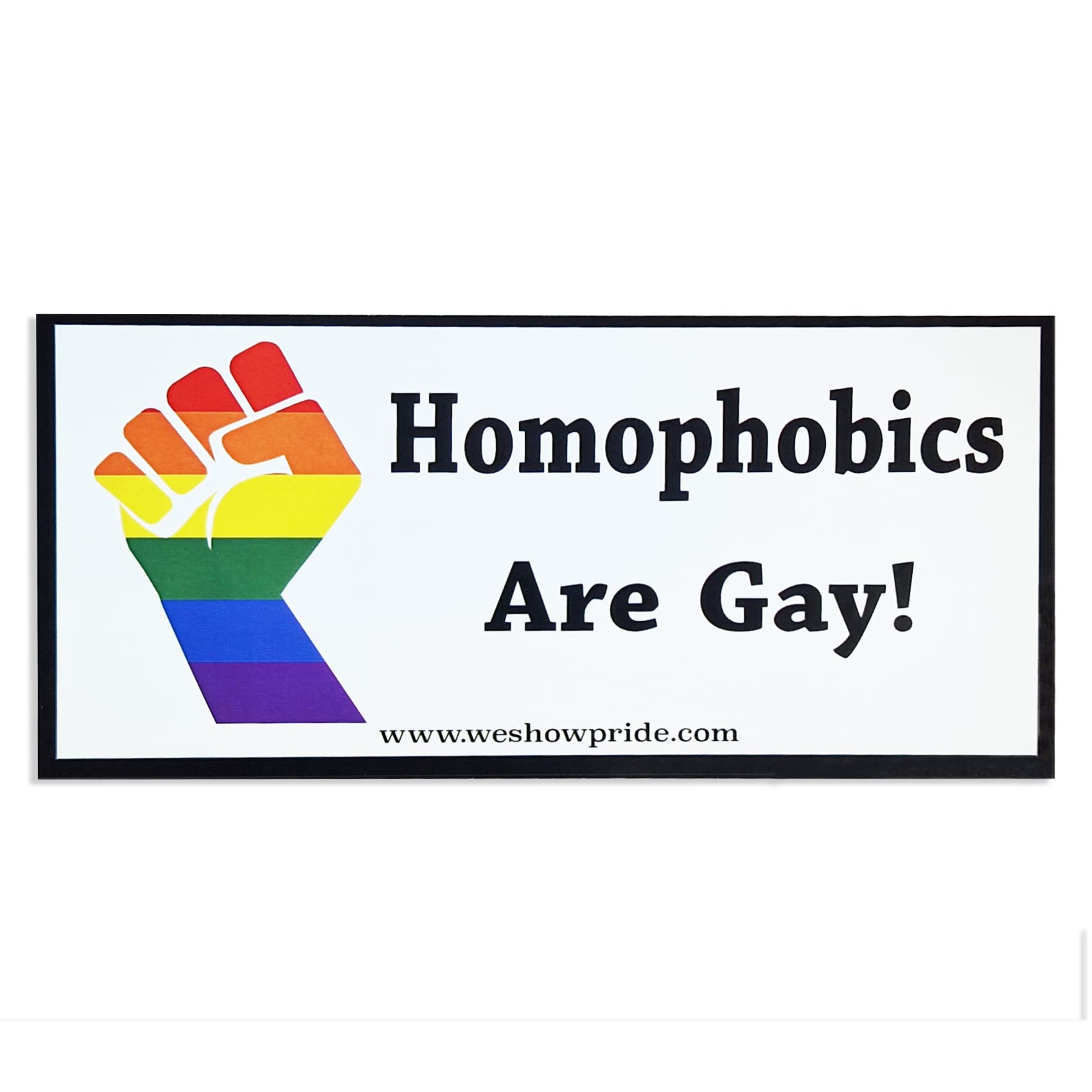 Gay Pride Bumper Stickers Novelty Fun Car Large LGBT LGBTQIA Vinyl Decal Homophobics are Gay