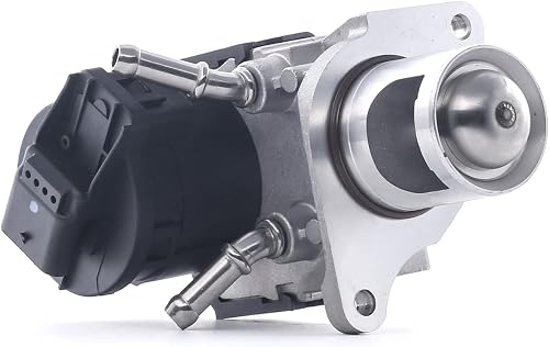 Delphi EG10468-12B1 - EGR Valve