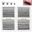 W02-Lashes