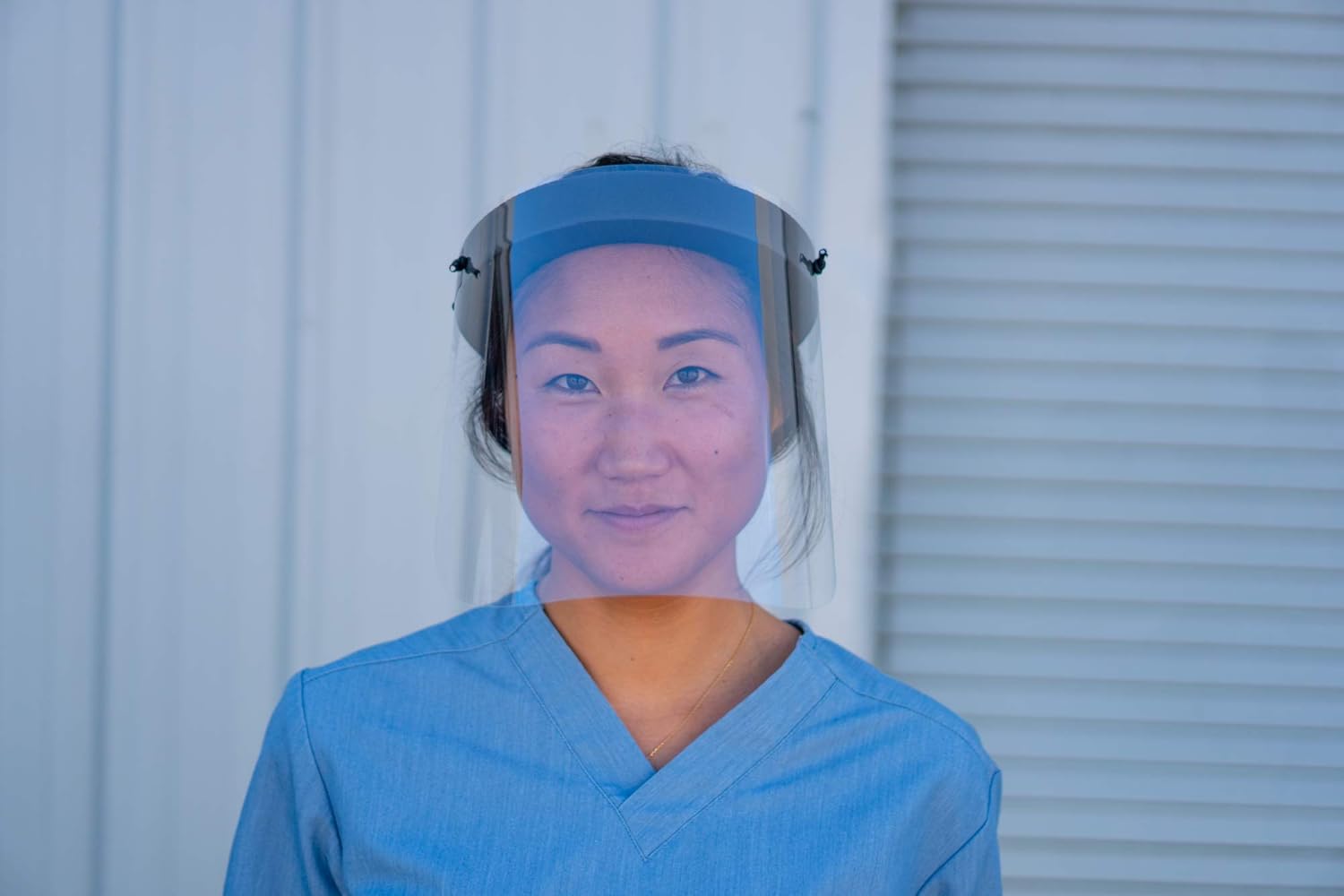 Face Shield (10 Pack)