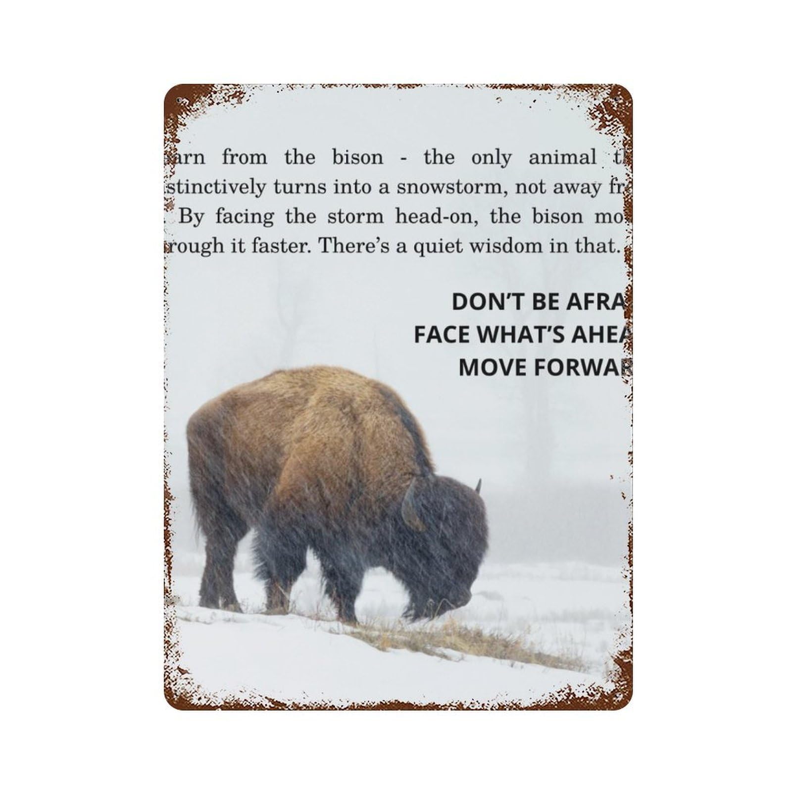 xiaoxiaoshen Facing The Storm Poster, Wild Boar Motivational Quotes, Courage And Resilience (2) Wall Decor Art Metal Tin Poster Modern Home Decor Art Home Bar Shop Decorations Vintage Sign 40x30cm